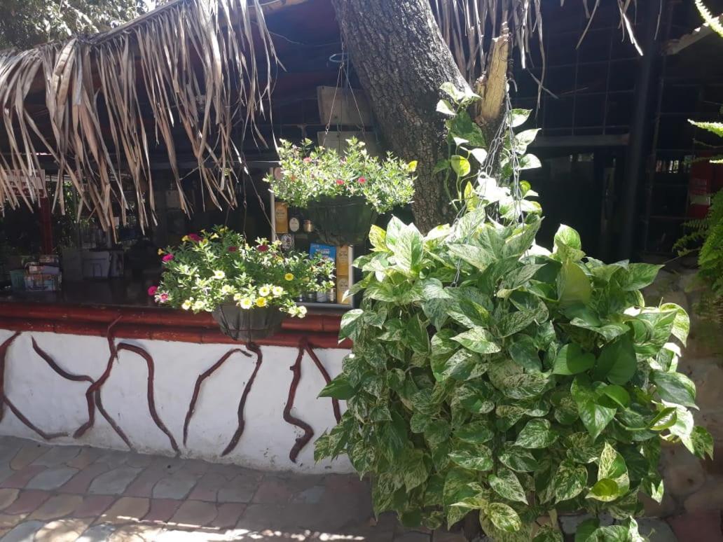 El Penon De Constantino - Tatacoa Hotel Villavieja Kültér fotó